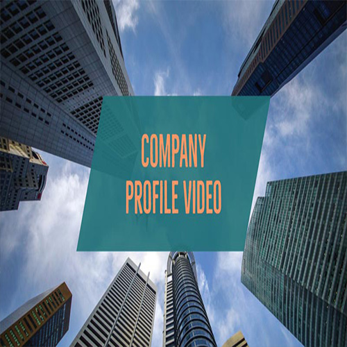 Company Profile